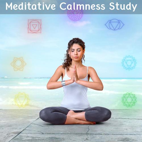 Meditative Calmness Study