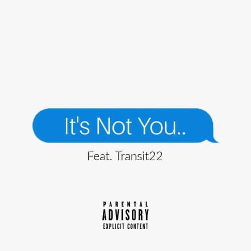 It's Not You (feat. Transit22) [Explicit]