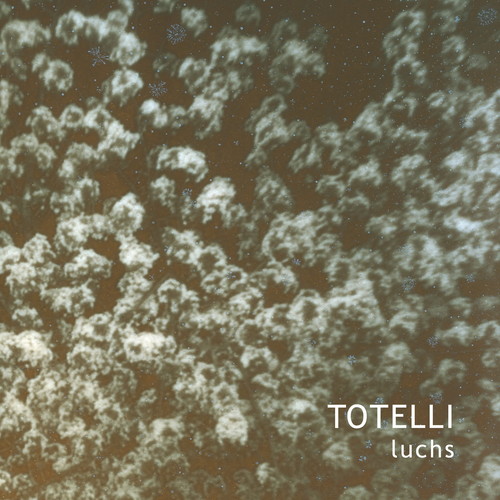 Totelli