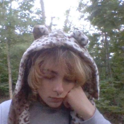 ANOMALOCARIS 1.5 (Explicit)