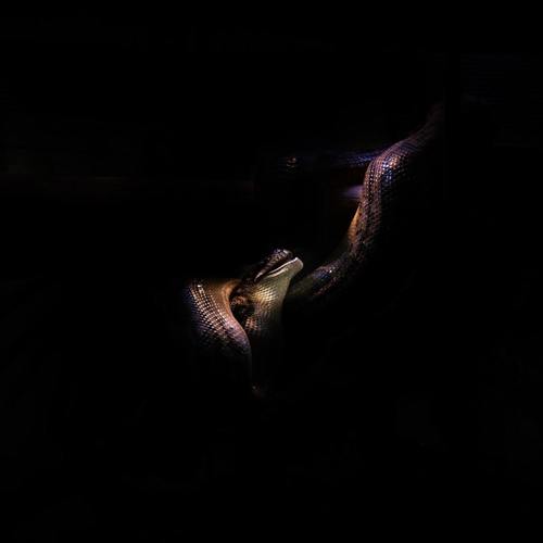 Drift Anthem (Explicit)