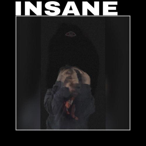 2/INSANE (feat. cadence & tydavid) [Explicit]
