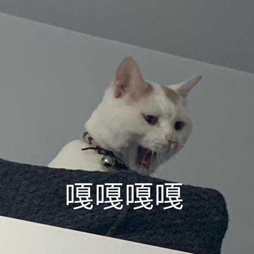 二次翻修的捉迷藏