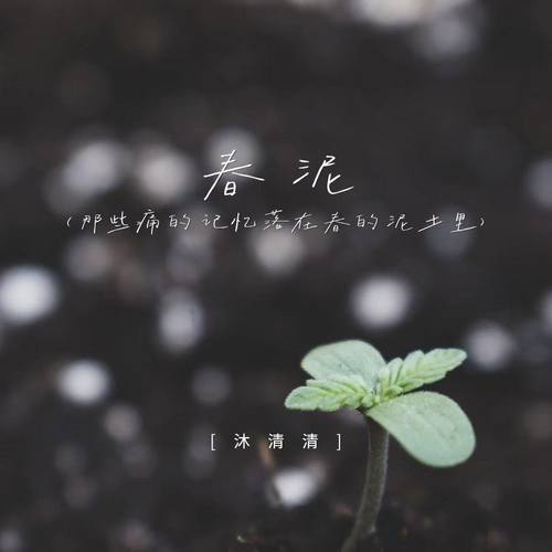 春泥 (那些痛的记忆落在春的泥土里)