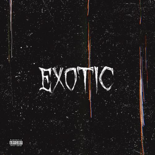 EXOTIC (feat. n0s0ul) [Explicit]