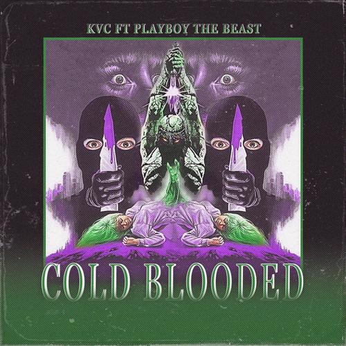 Cold Blooded (feat. Playboy The Beast) [Explicit]