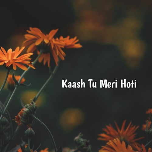 Kaash Tu Meri Hoti