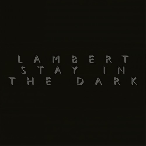 Stay In The Dark (待在黑暗中)