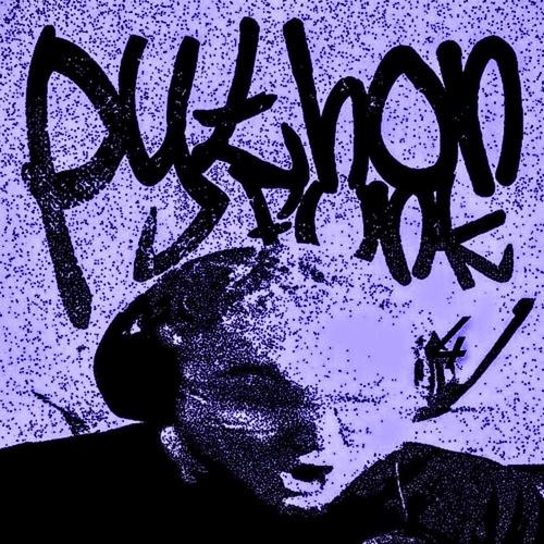 PYTHON FUNK (MEGA SLOWED) (feat. RD12 & Sayfalse)