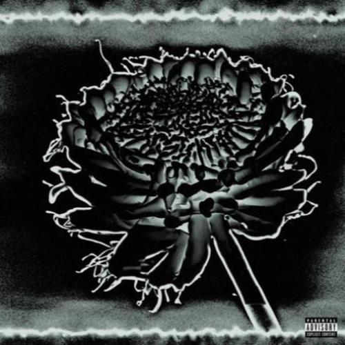 That One Song (Remix) [Explicit]