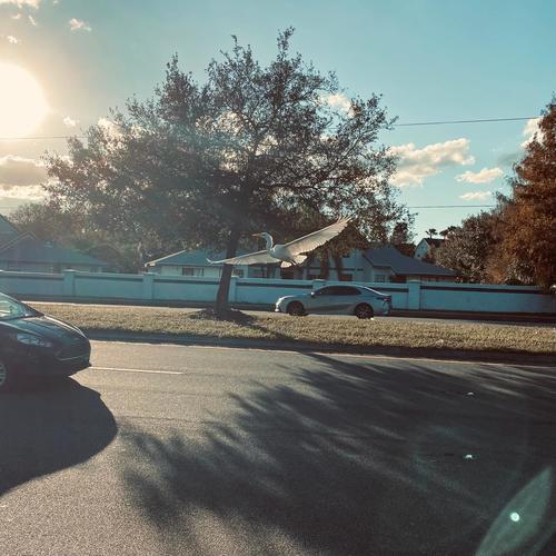 tiny violin (Explicit)