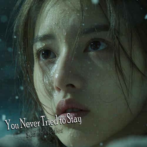 You Never Tried to Stay