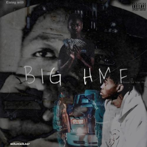 BIG HMF (Explicit)