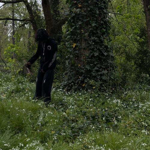 Mienteme! no m importa si esto es real o fake ! MIENTEME ! (Explicit)