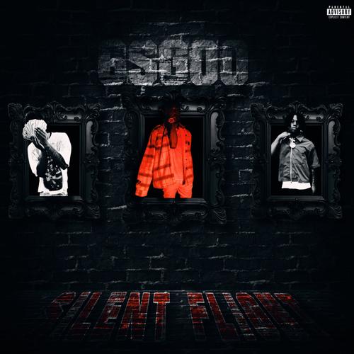 Silent Flight (Explicit)