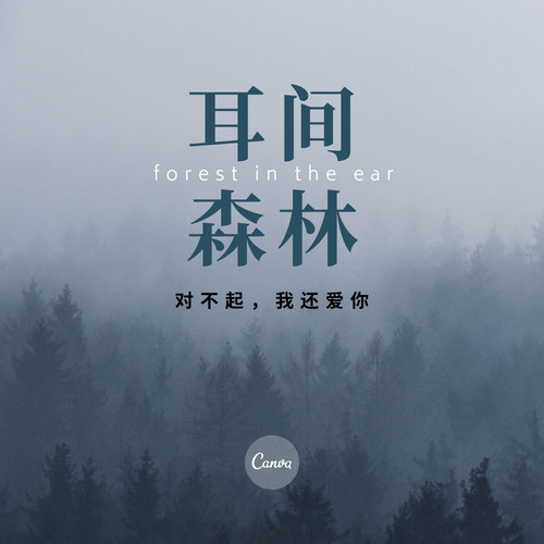 对不起，我还爱你