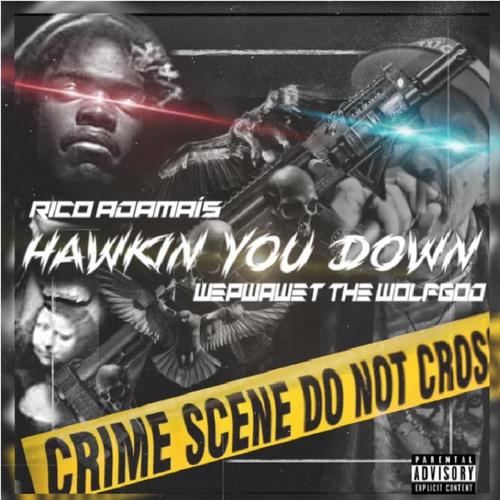 Hawkin You Down (feat. Wepwawet WolfGod) [Explicit]