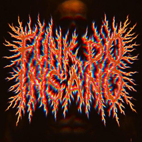 FUNK DO INSANO (Ultra Slowed)