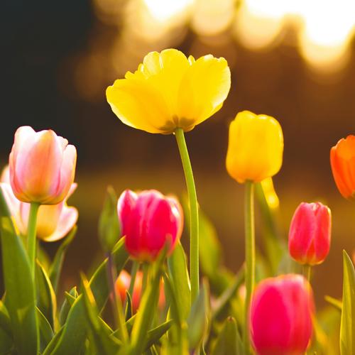 Piano K-Pop Album #16