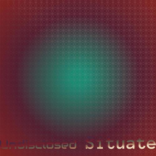 Undisclosed Situate