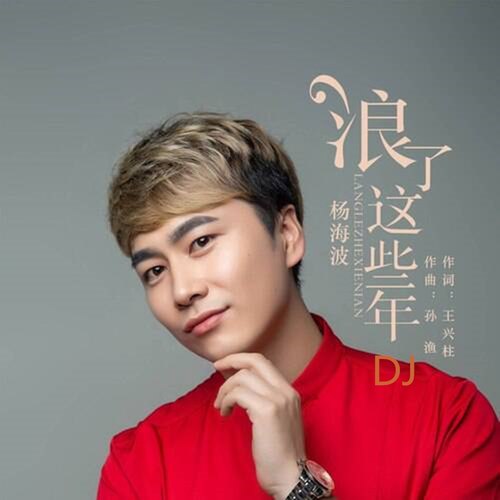 浪了这些年(DJ版)