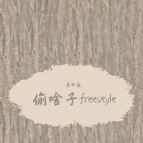 偷啥子freestyle