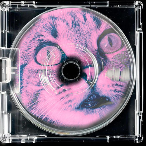 Pretty Ways To Disappear