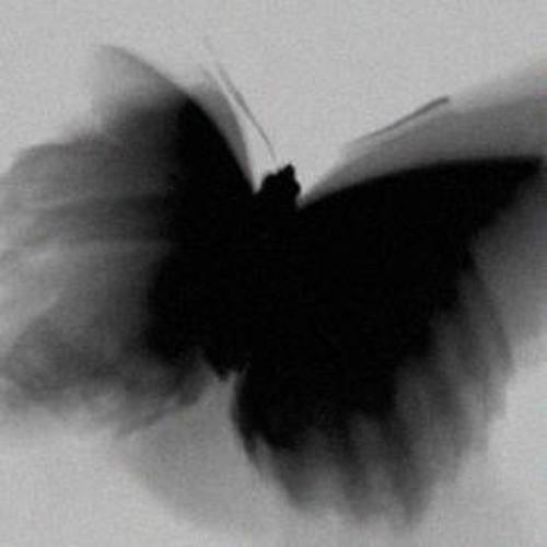 black butterfly (Explicit)
