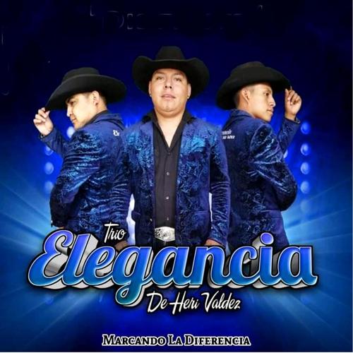 Por Mis Mentiras (Trio Elegancia de Herí Valdez)