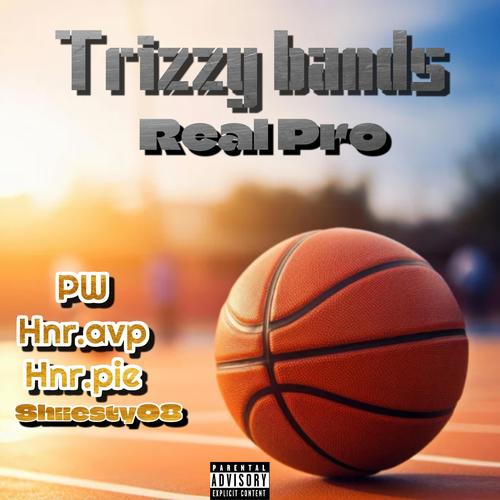 REAL PRO (feat. PW, HNR AVP, HNR PIE & SHIIESTY08) [Explicit]
