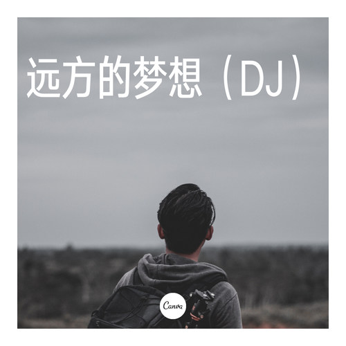 远方的梦想（DJ）