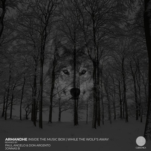 Inside the Music Box | While the Wolf's Away