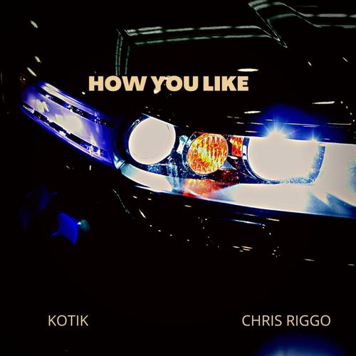 HOW YOU LIKE (feat. Chris Riggo) [Explicit]