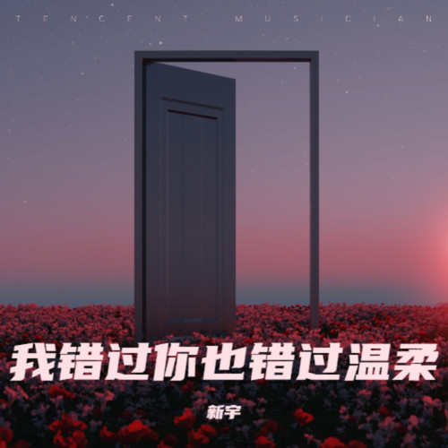 我错过你也错过温柔