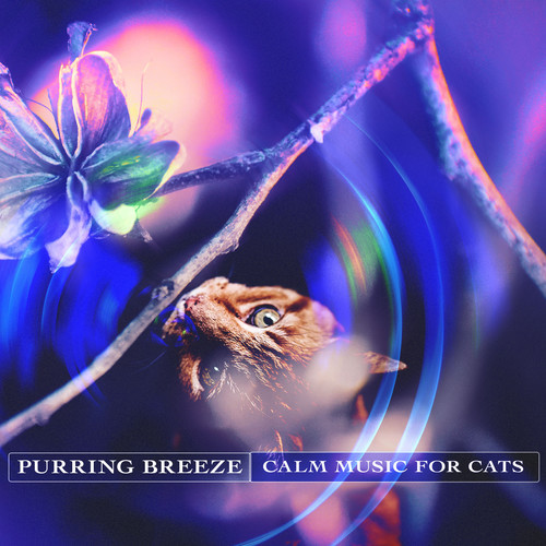 Purring Breeze