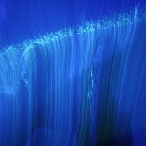 get away from me nasty ass twat (Explicit)