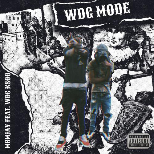 WDG MODE (Explicit)