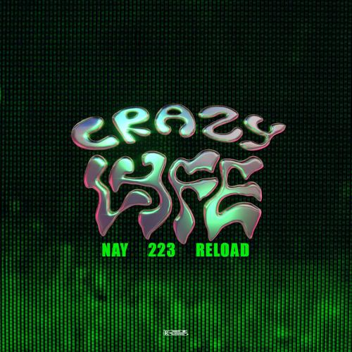 Crazy Lyfe (feat. ReLoad & 223) [Explicit]