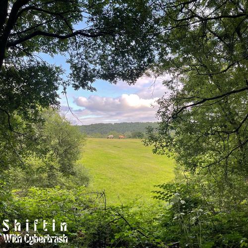 Shiftin (feat. Cybertrash)