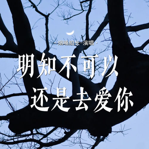 明知不可以还是去爱你