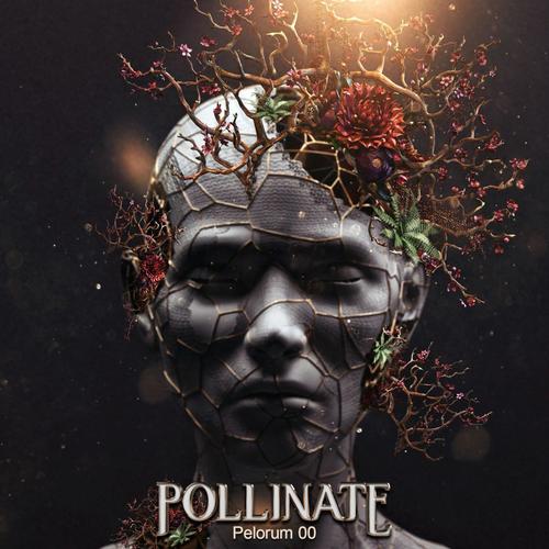 Pollinate
