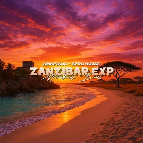 ZANZIBAR EXP (AMAPIANO & AFRO HOUSE)