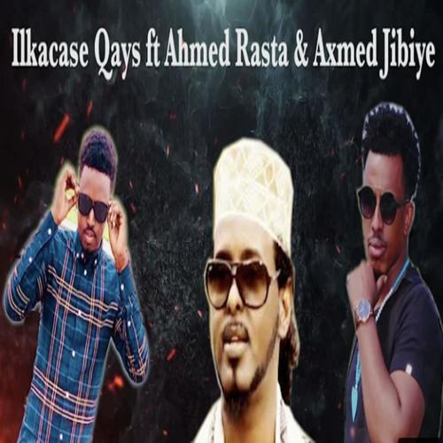 Gobtu maxeey leedahay