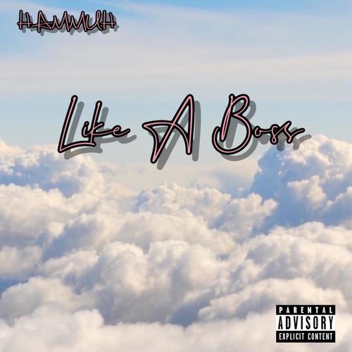 Like A Boss (Explicit)