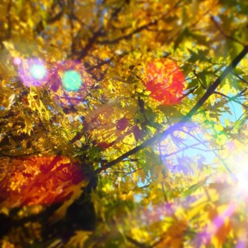 a long story (feat. galloper) [Explicit]