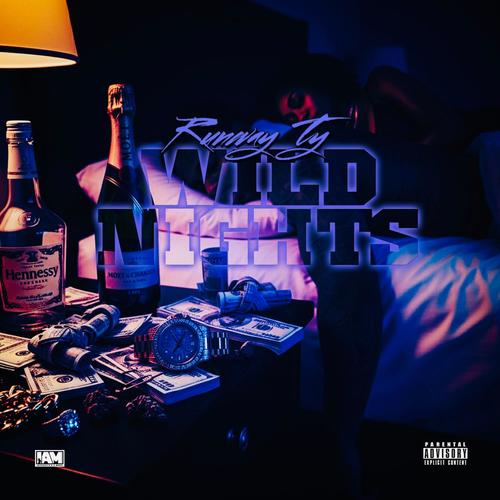 WILD NIGHTS (Explicit)