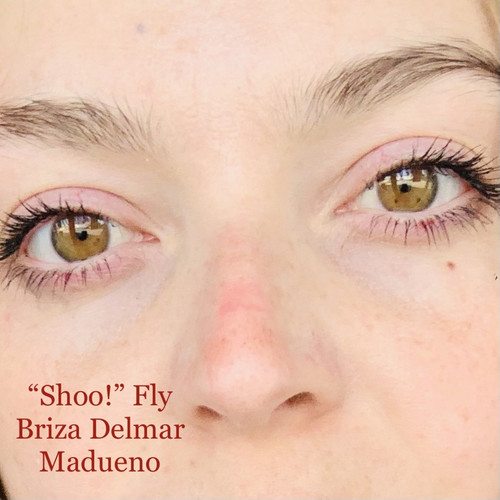 “Shoo!” Fly