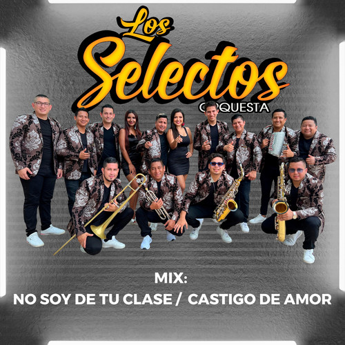Mix Selectos: No Soy De Tu Clase / Castigo De Amor