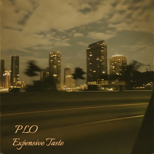 Expensive Taste (Explicit)