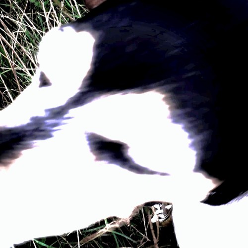 Back To The Good Old Days